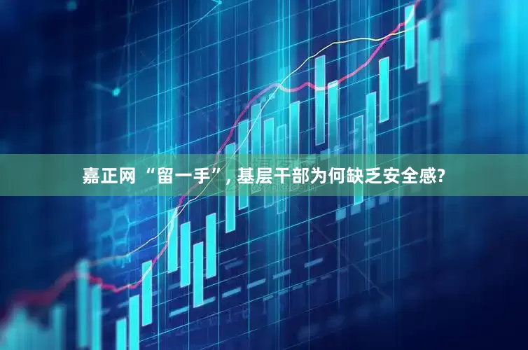 嘉正网 “留一手”, 基层干部为何缺乏安全感?