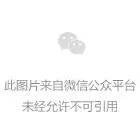 稳拿证券 全球资产，集体上涨！美国重磅消息来袭