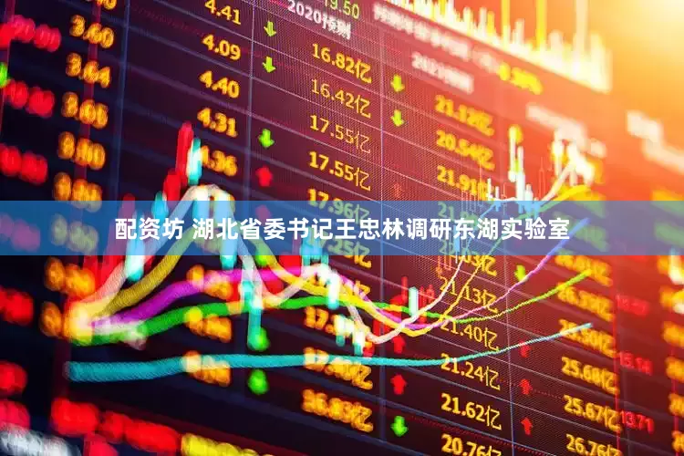 配资坊 湖北省委书记王忠林调研东湖实验室