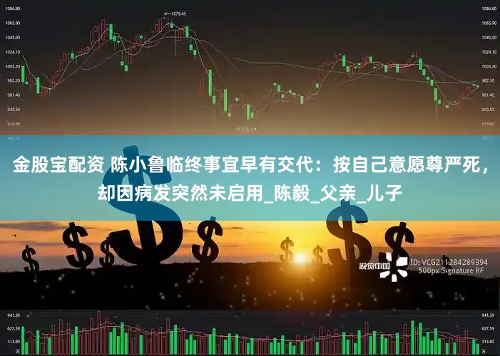 金股宝配资 陈小鲁临终事宜早有交代：按自己意愿尊严死，却因病发突然未启用_陈毅_父亲_儿子